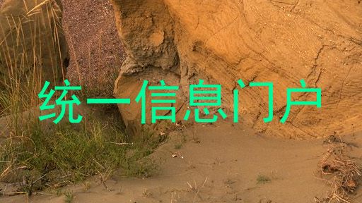 统一信息门户