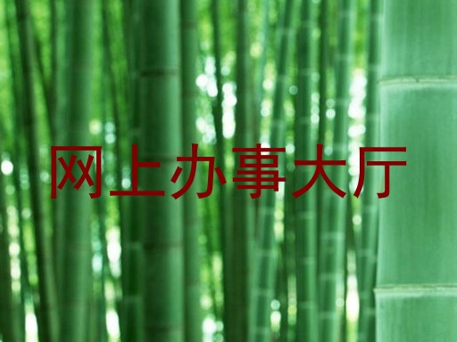 网上办事大厅