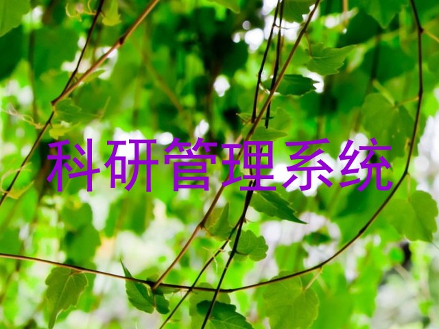 科研管理系统