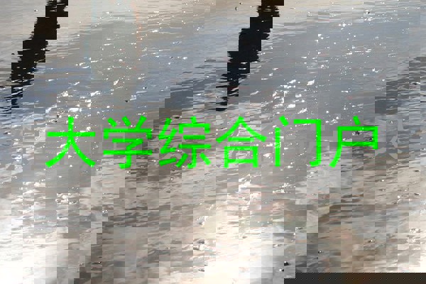 大学综合门户