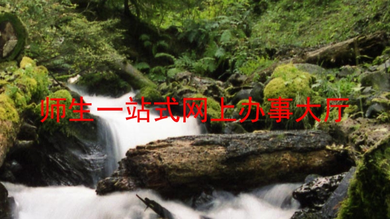 师生一站式网上办事大厅
