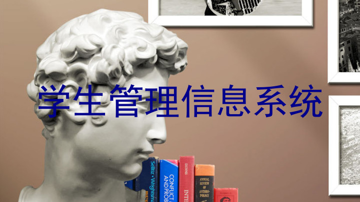 学生管理信息系统