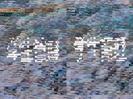 学生管理