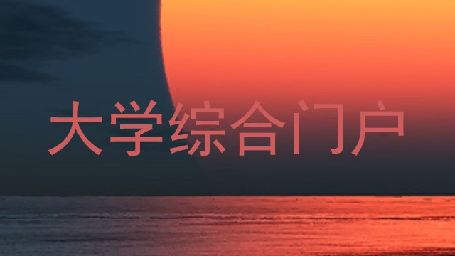 大学综合门户