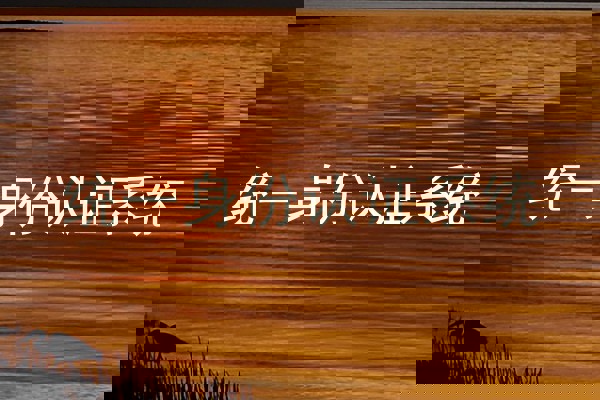 统一身份认证系统