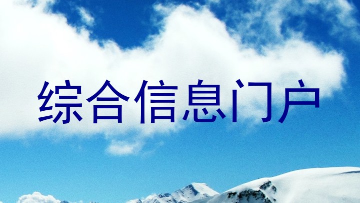 综合信息门户