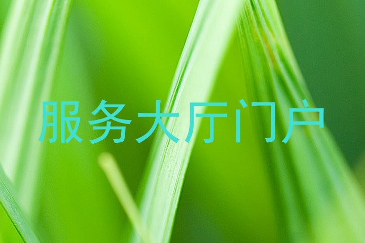 服务大厅门户