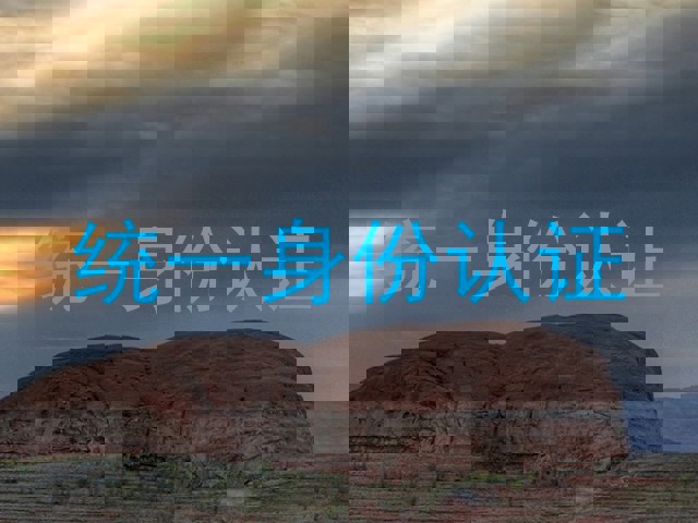 统一身份认证