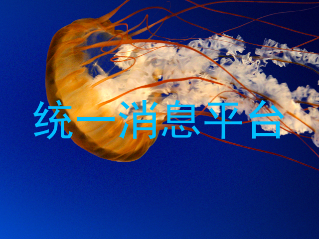 统一消息平台