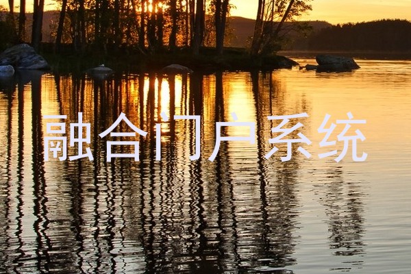 融合门户系统
