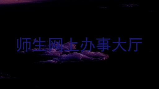 师生网上办事大厅