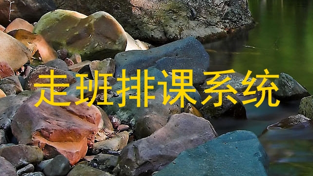 走班排课系统