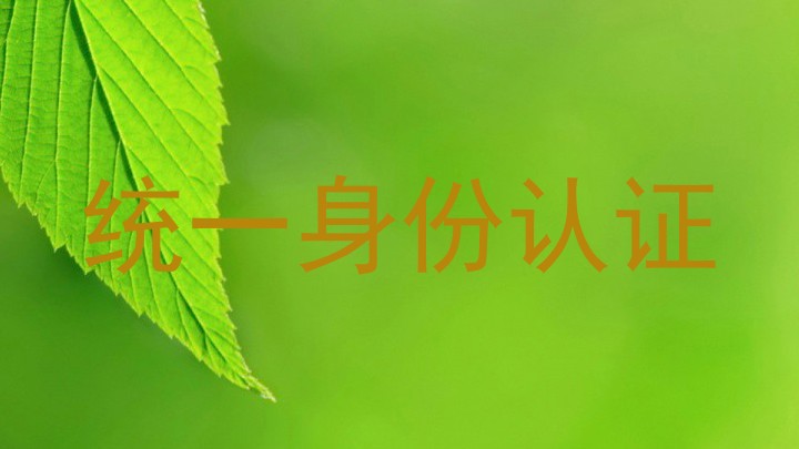 统一身份认证