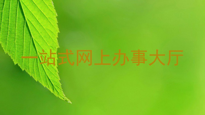 一站式网上办事大厅