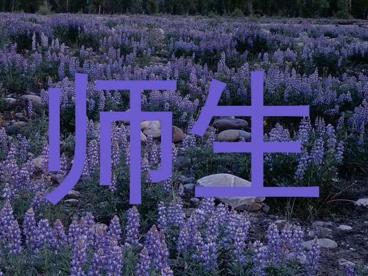 师生