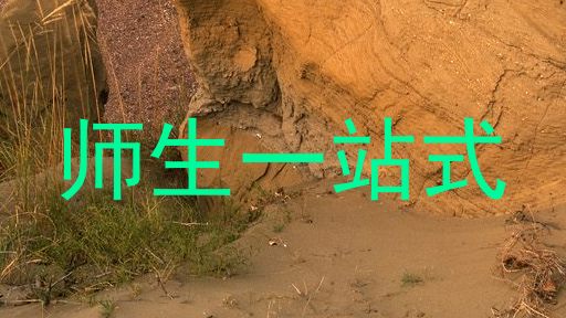 师生一站式