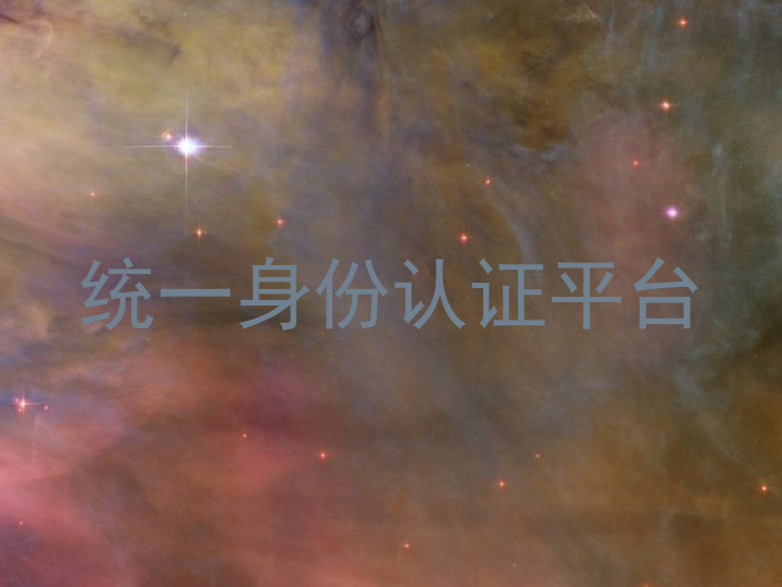 统一身份认证平台