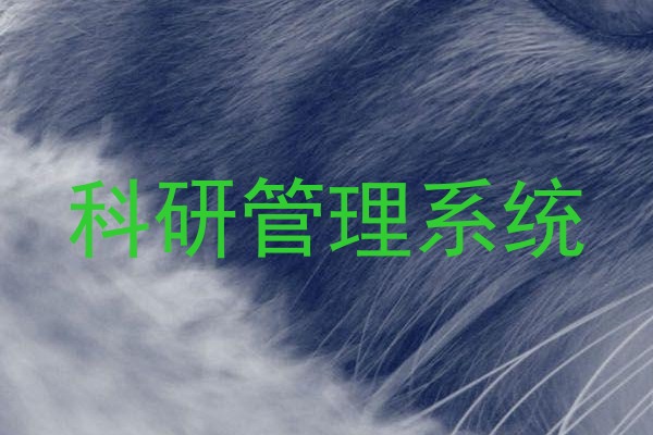 科研管理系统