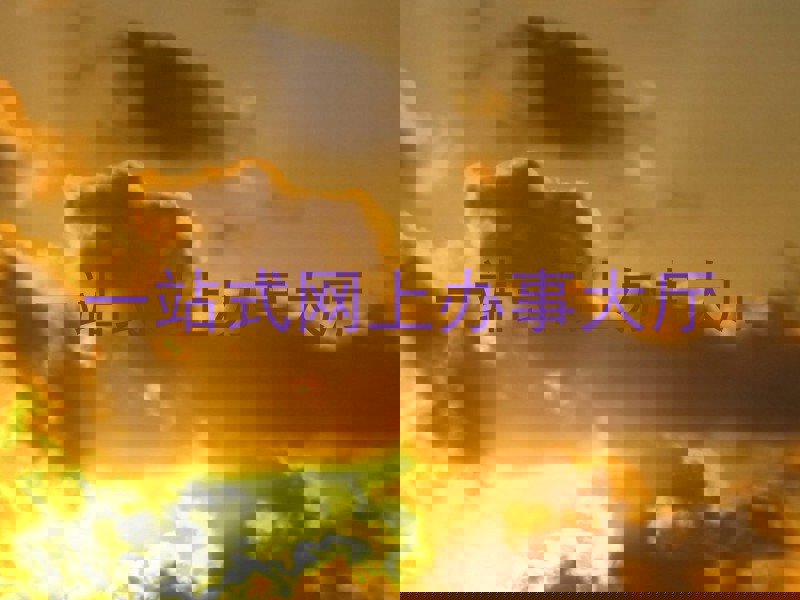 一站式网上办事大厅