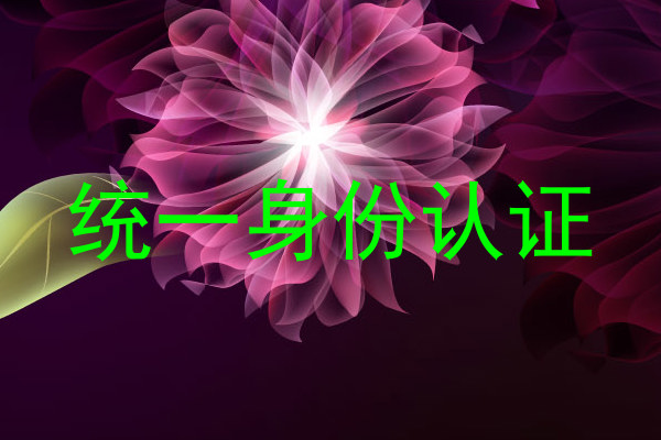 统一身份认证