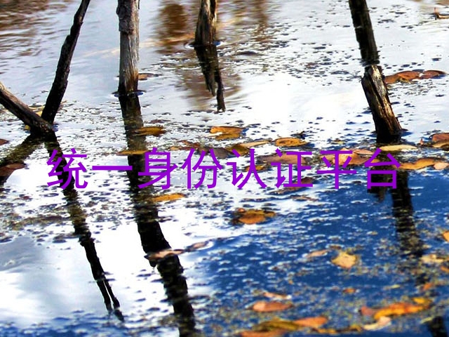 统一身份认证平台