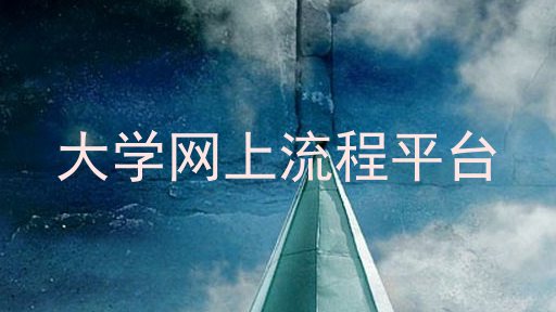 大学网上流程平台