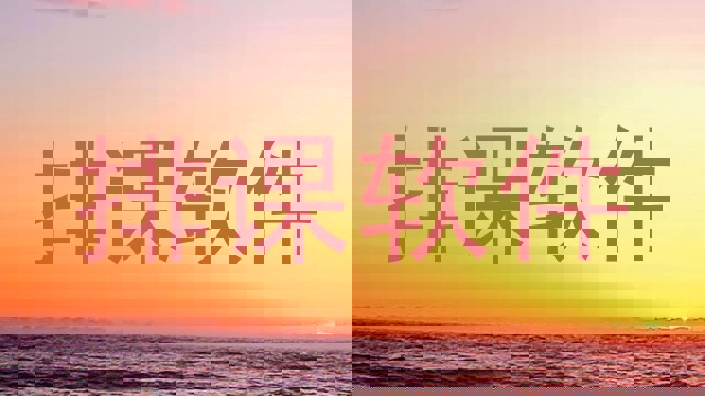 排课软件