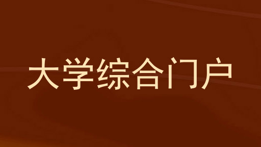 大学综合门户