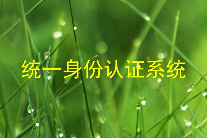 统一身份认证系统