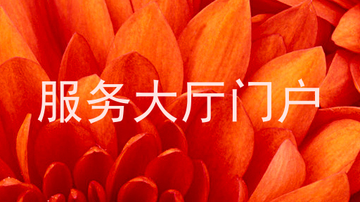 服务大厅门户
