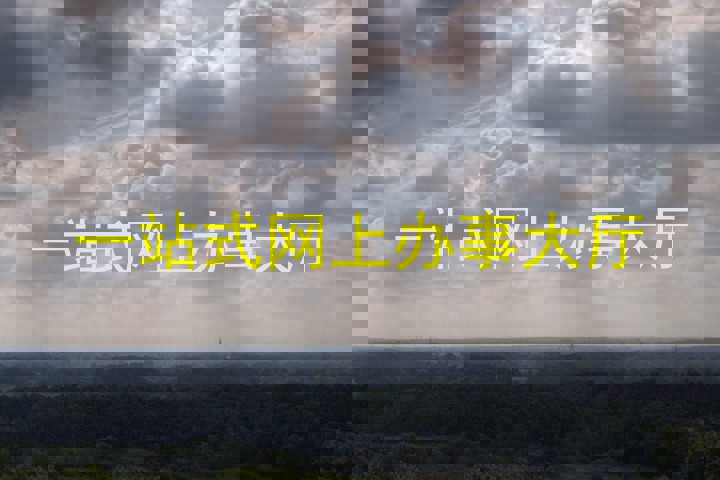 一站式网上办事大厅