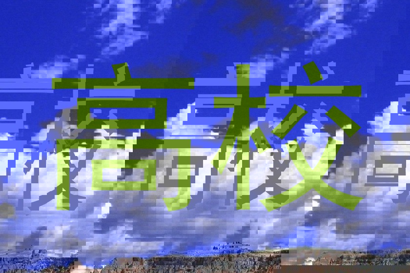 高校