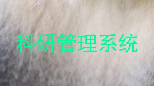 科研管理系统