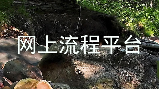 网上流程平台