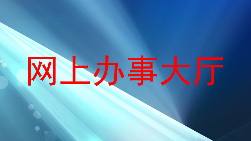 网上办事大厅