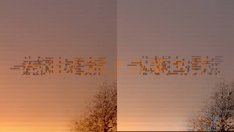一站式网上办事大厅