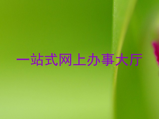 一站式网上办事大厅