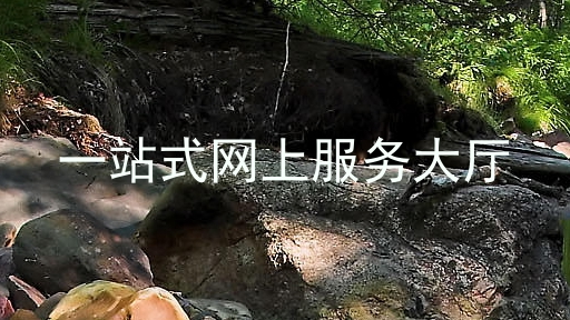 一站式网上服务大厅