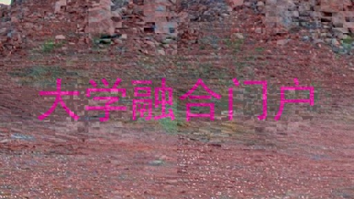 大学融合门户