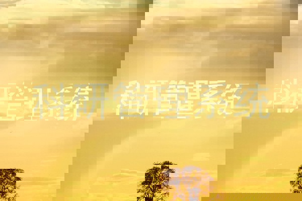 科研管理系统