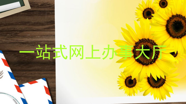 一站式网上办事大厅