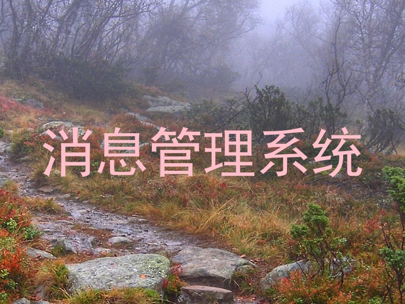 消息管理系统