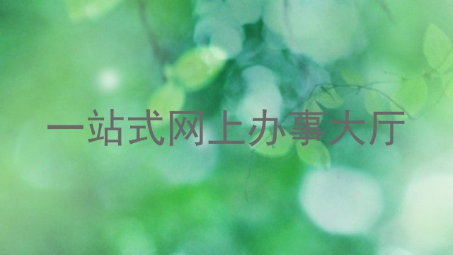 一站式网上办事大厅