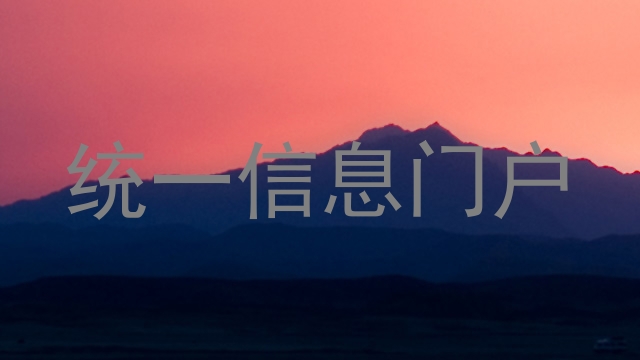 统一信息门户