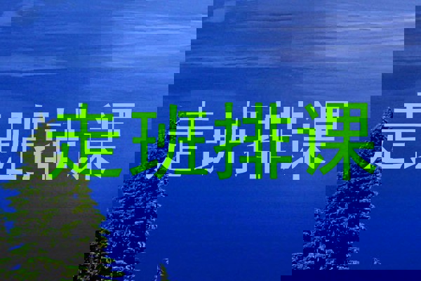 走班排课