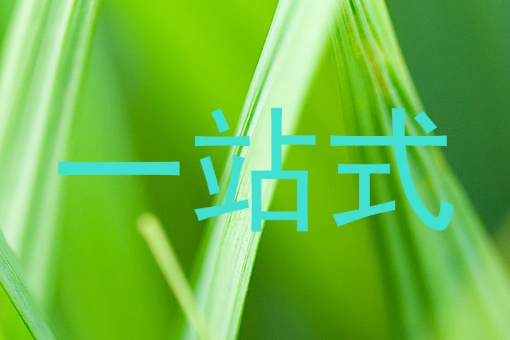 一站式