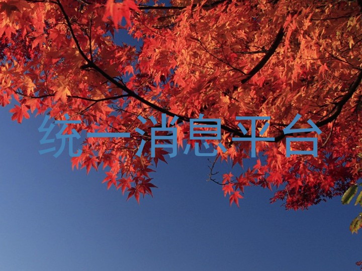 统一消息平台
