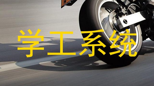 学工系统