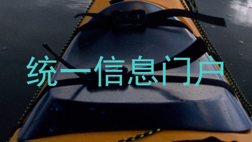 统一信息门户