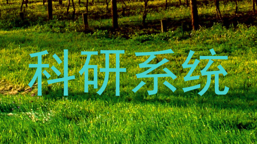 科研系统